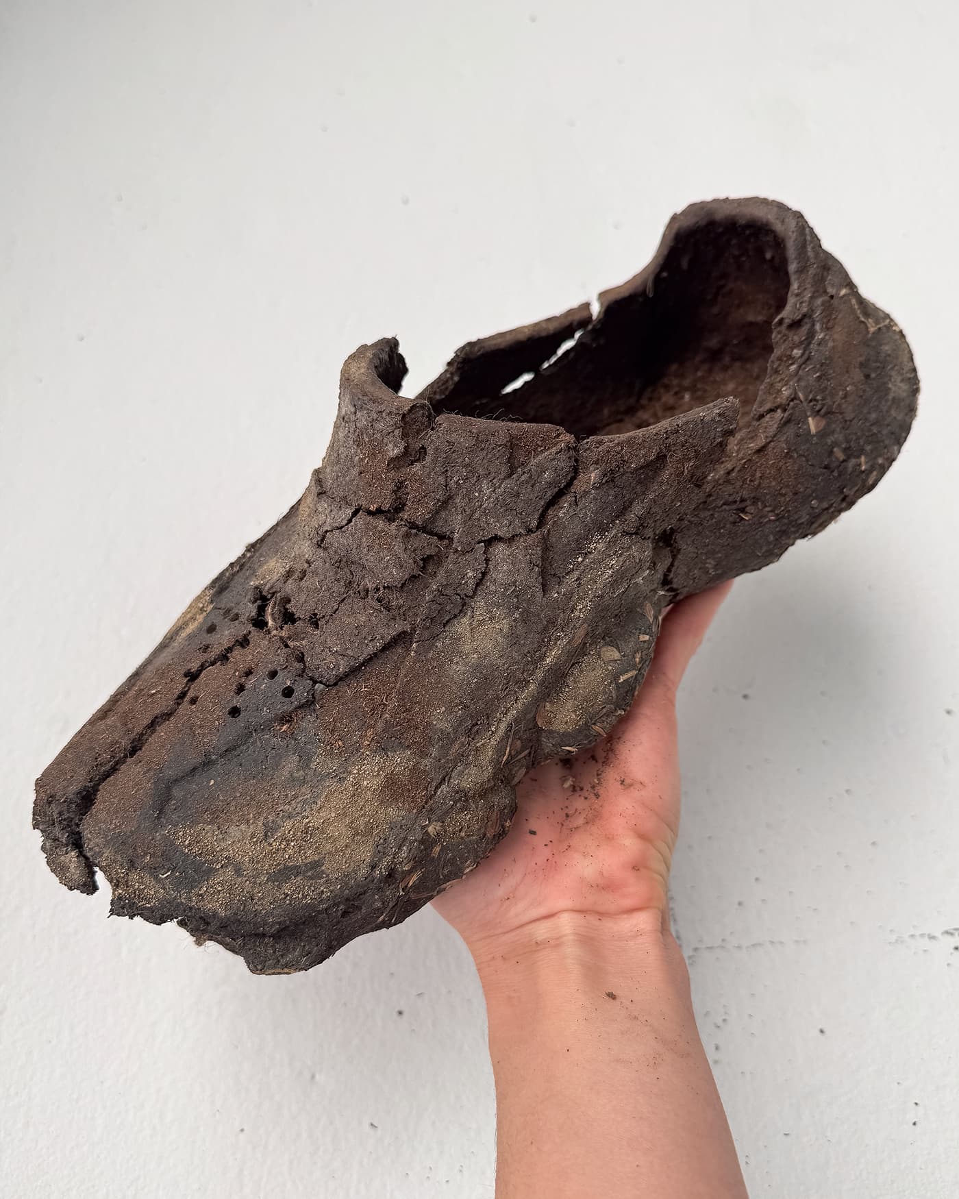 Dirt Shoes - Selfie