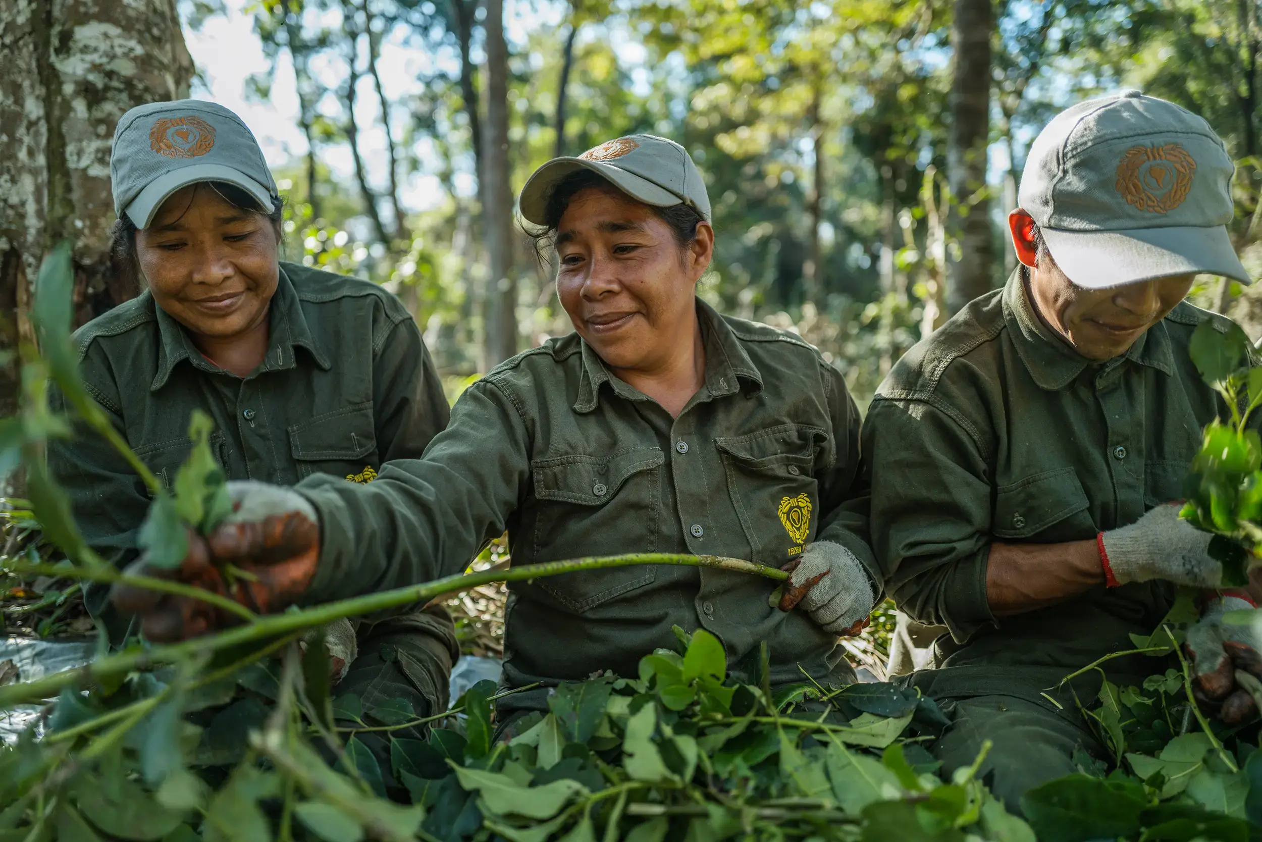 Yerba Madre Dirt Shoes - Support Yerba Mate Producers