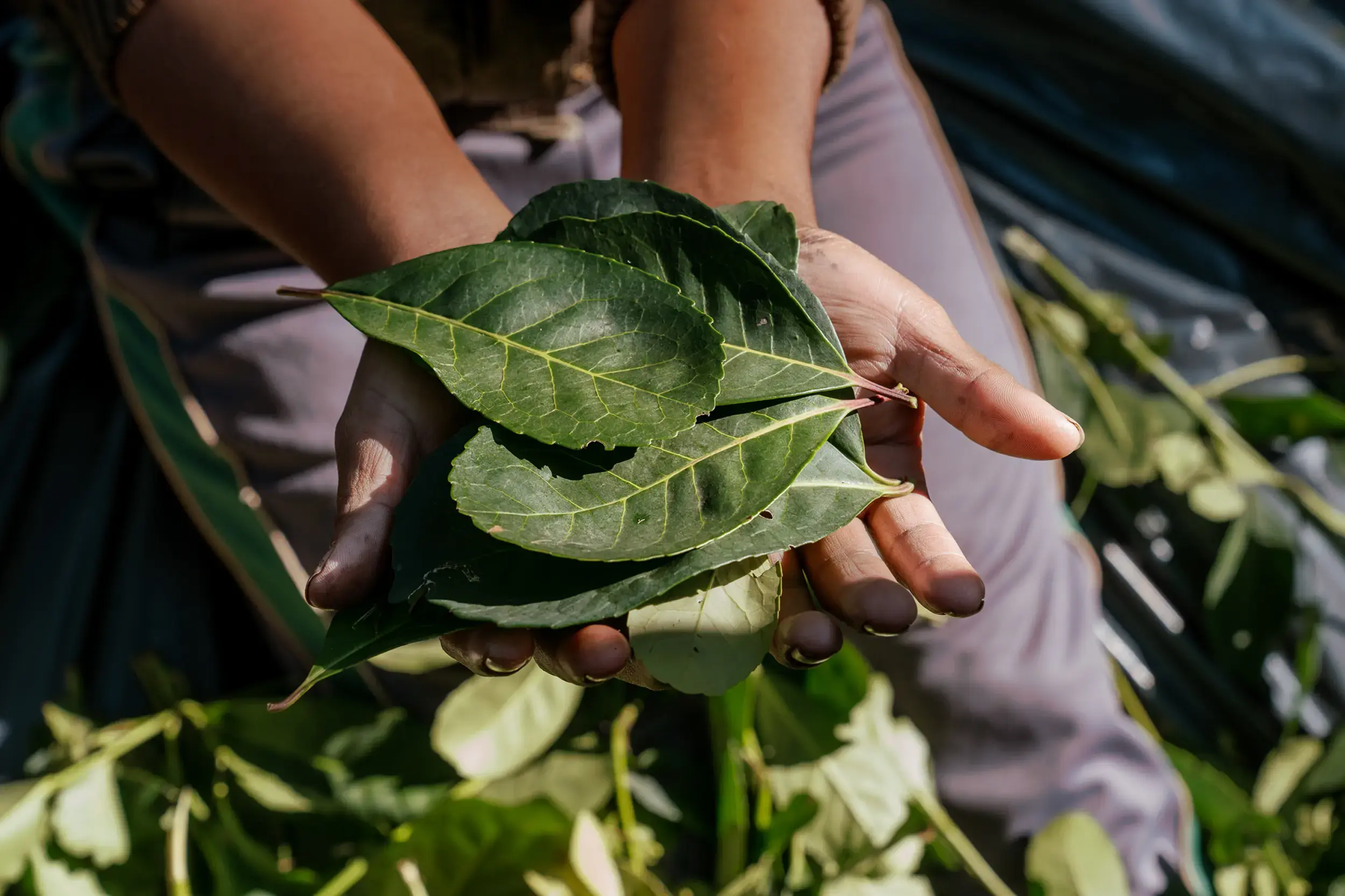 Yerba Madre Dirt Shoes - Celebrate Mother Earth